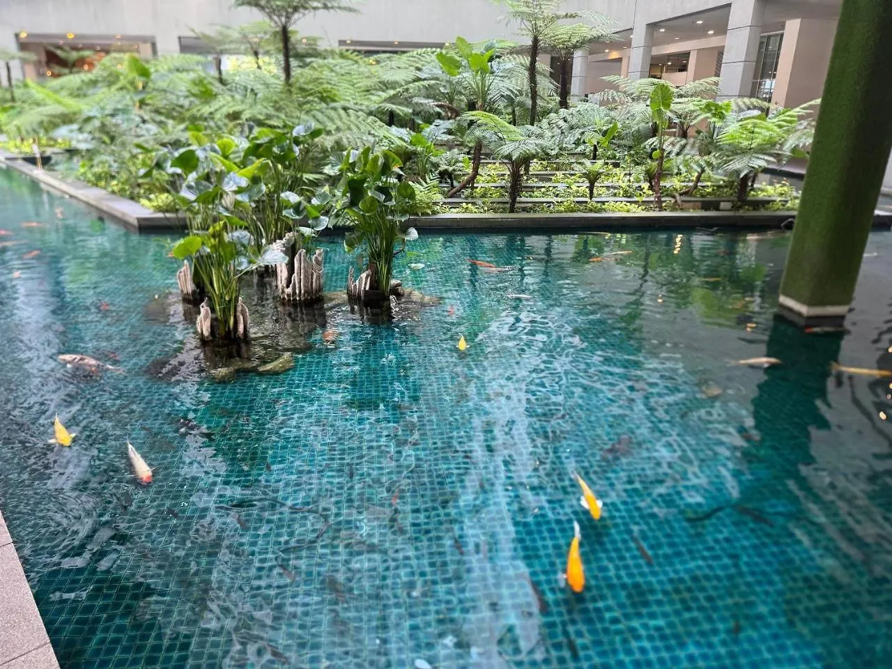 Infinity Skypool Ladies Hostel - Ladies Only Kuala Lumpur